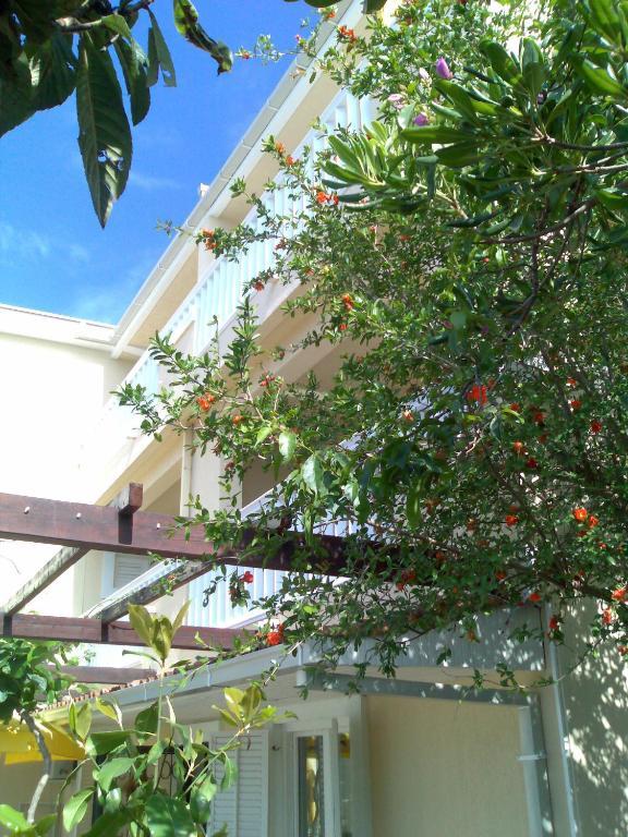 Villa Tenžera Herceg Novi Esterno foto